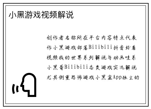 小黑游戏视频解说